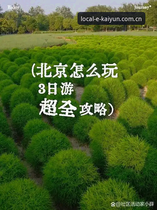 KAIYUN体育官网本地体验教程：不折腾、不绕路，三分钟搞定电竞赛程